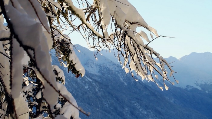 Neige fraîche