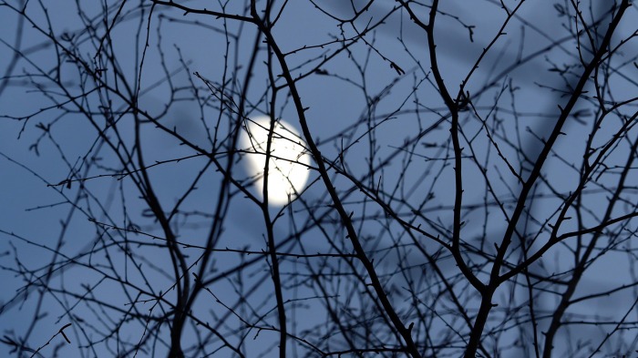 Waxing gibbous